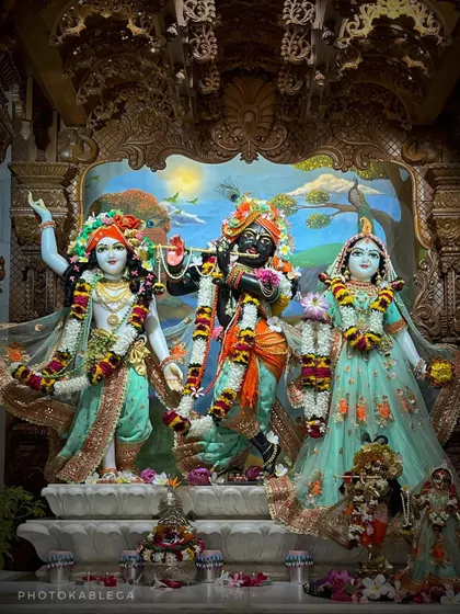 The main deities of Radha Krishna at the 'mini-Vrindavan' near Mumbai, Govardhan Ecovillage.