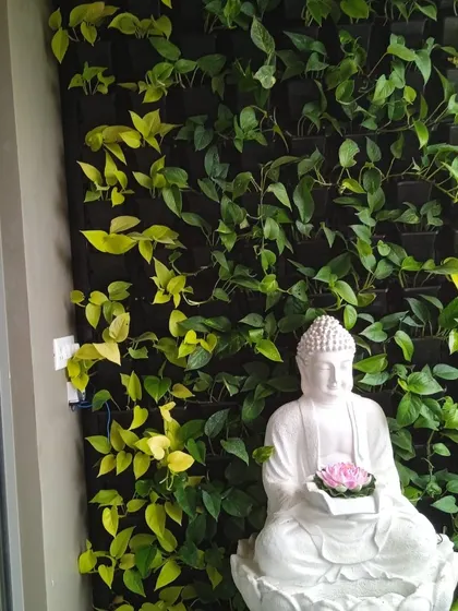 A serene corner featuring a vertical garden of money plants, with a white Buddha statue creating a peaceful and meditative focal point.