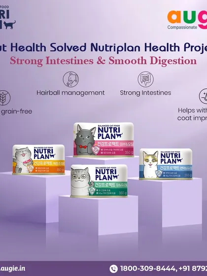 Gut health is solved with Nutriplan's Health Project line. This functional wet food is gluten and grain-free, helps with hairball management, and improves skin and coat, all while strengthening the intestines.