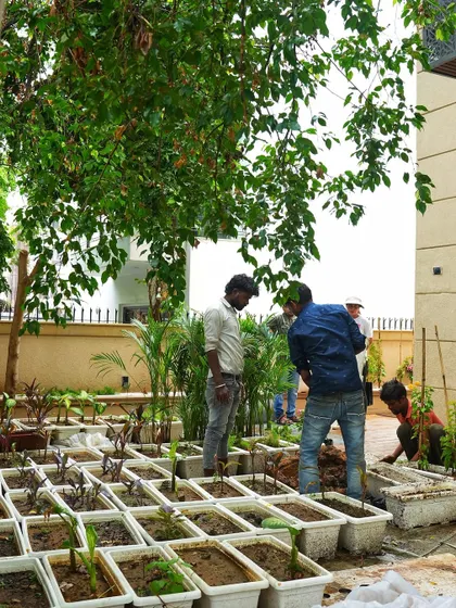 We do all the dirty work so you don’t have to. Here's my team preparing a large number of plants for a commercial project.