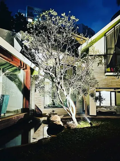 Lighting a single specimen tree near the house can create a powerful focal point and connect the architecture to the garden.