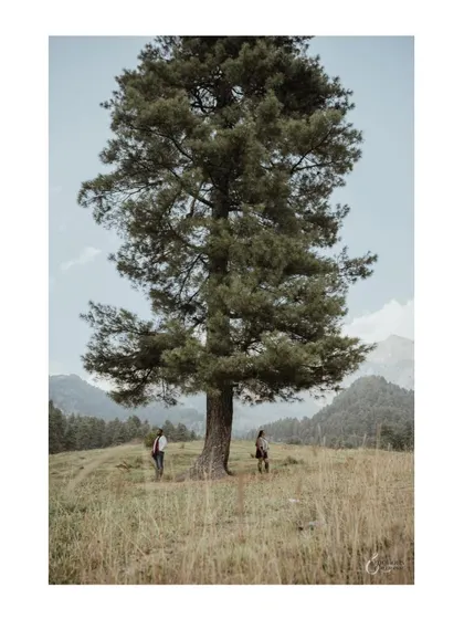A wide, cinematic shot placing the couple within the vast, beautiful landscape of Kashmir. This shows the scale and grandeur I aim for in destination pre-wedding photography.