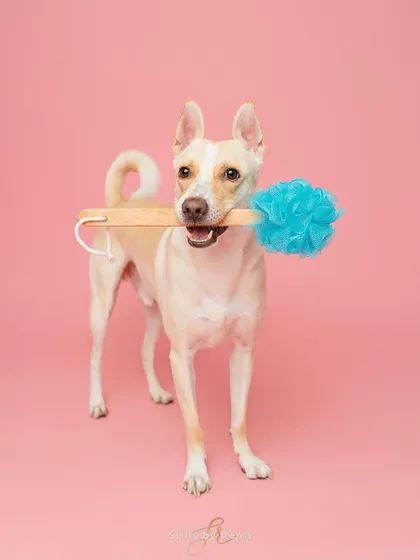 Another take of our loofah-loving model. The energy and happiness in this shot are contagious.