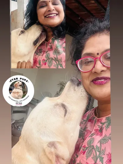 Puppy kisses are the best form of payment! This collage captures the pure, unconditional love I share with my furry guests.