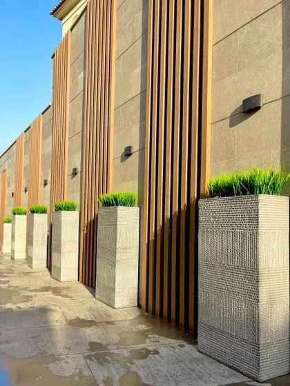 This image showcases a captive landscape design where tall, modern planters are lined against a wall with wood-paneled accents. This approach creates a strong visual rhythm and adds greenery without sacrificing floor space.