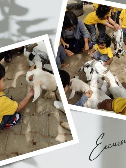 A wonderful scene of children surrounding and gently petting a herd of friendly baby goats.