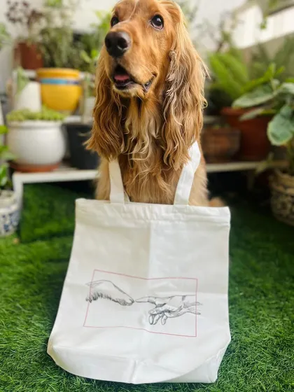 Posto proudly modeling his new tote bag. He can now carry his own stuff.
