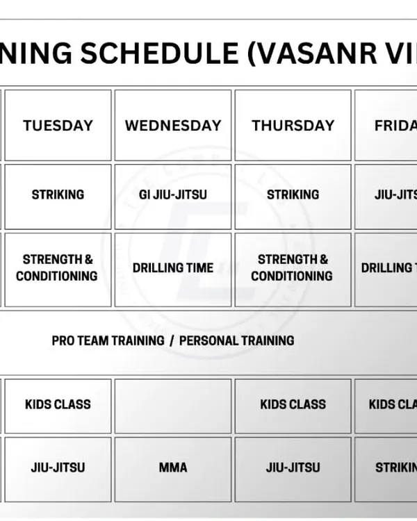Our updated training schedule for the Vasant Vihar location. More classes, more mat space, more people to train with.