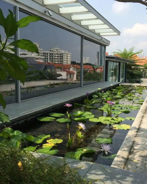 A modern water lily pond runs alongside a building with large glass walls. The reflection of the sky and surrounding buildings on the water's surface adds another layer of beauty to the design.