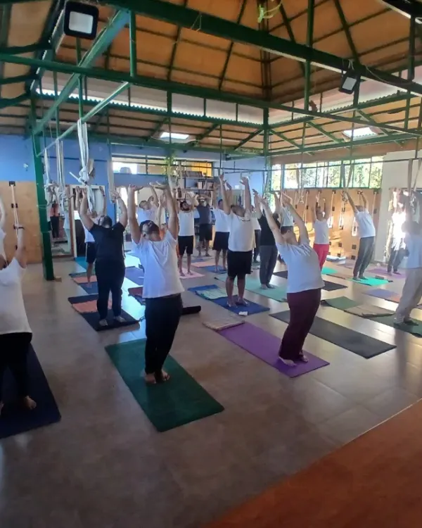 This image captures the collective energy of our community during a special session of 108 Surya Namaskars. My program emphasizes the importance of a strong, shared practice, whether you join us in person at our studio or connect with us online.