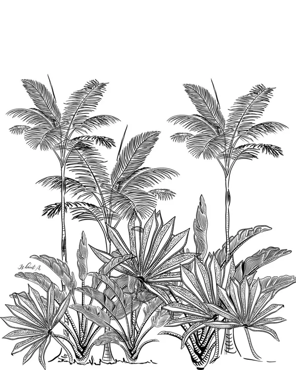 A detailed, hand-drawn illustration of tropical foliage from my 'Treasures of Madagascar' collection. This monochrome botanical print is versatile enough for everything from elegant wallpaper to minimalist fabric designs.