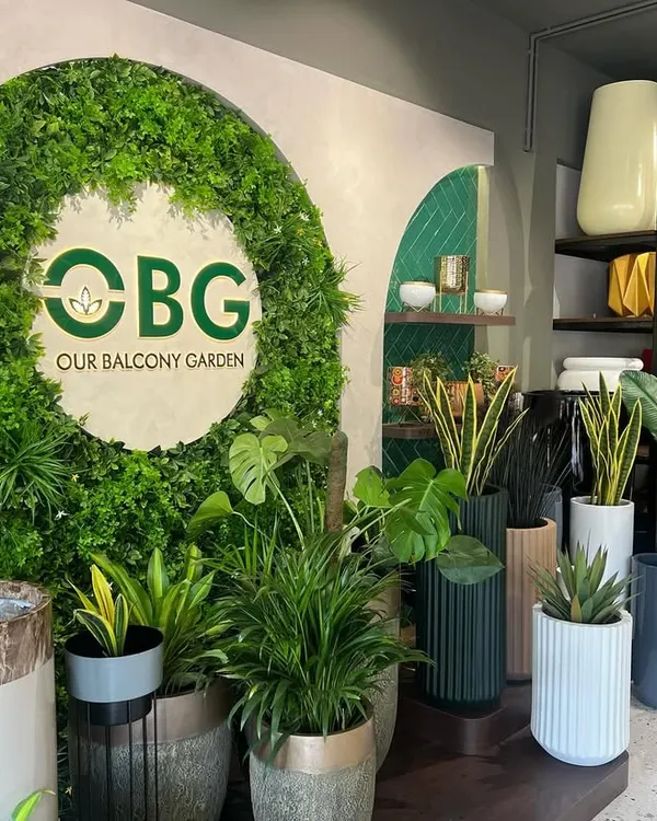 Welcome to Our Balcony Garden. 🪴 This is our store in Kadri, where we help you find the perfect planters and greenery to bring your space to life. We started this to make gardening easy and beautiful for everyone in Namma Kudla.
