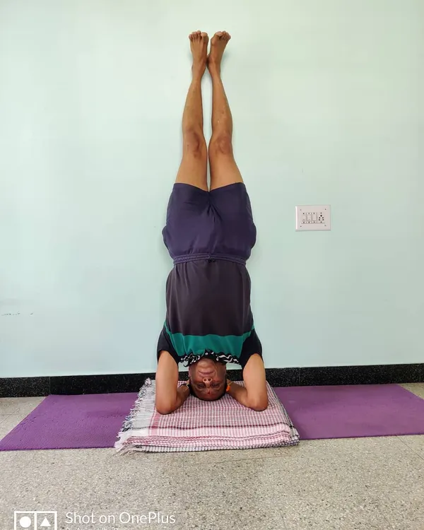 Salamba Shirshasana (Supported Headstand) against a wall. This is the classic form of the pose, building strength in the arms, shoulders, and core. The wall is used for safety as you build stability.