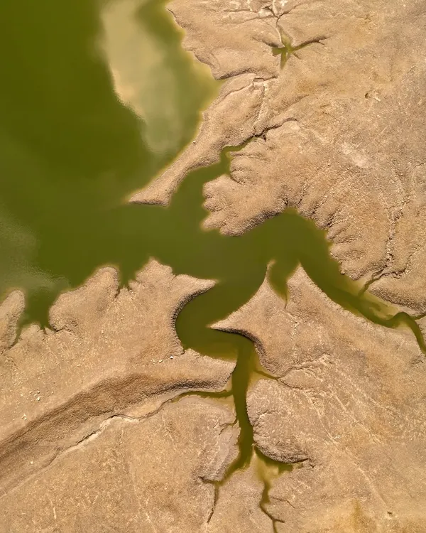 Part of my "Creatures of the Earth" series, this top-down aerial photo captures the abstract shape of a dried riverbed, resembling a "Structured Amoeba." It's about seeing the world with a child's wonder.