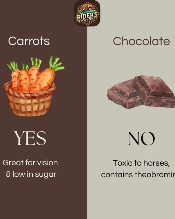 What's safe for your horse to eat? This graphic from our educational series shows that carrots are a great, low-sugar treat, while chocolate is toxic. We teach our riders about proper horse nutrition for optimal health.