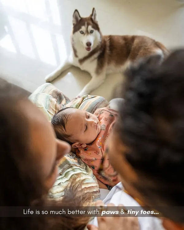 Life is so much better with paws and tiny toes. A newborn baby and a gentle Husky named Aspen sharing a quiet moment. I love capturing the beginning of these beautiful friendships during at-home newborn photography sessions.
