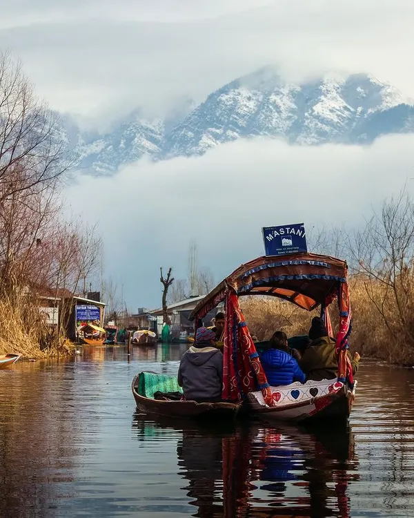 A quiet shikara ride on the waters of Kashmir, with the majestic, snow-covered Pir Panjal range watching over. This is the kind of peace I seek to capture, a moment of pure serenity where nature does all the talking.