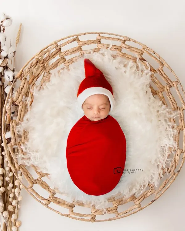 A classic newborn portrait, with the baby safely swaddled in red and sleeping peacefully in a rustic wicker basket. The cotton plant adds a soft, natural touch to the composition.