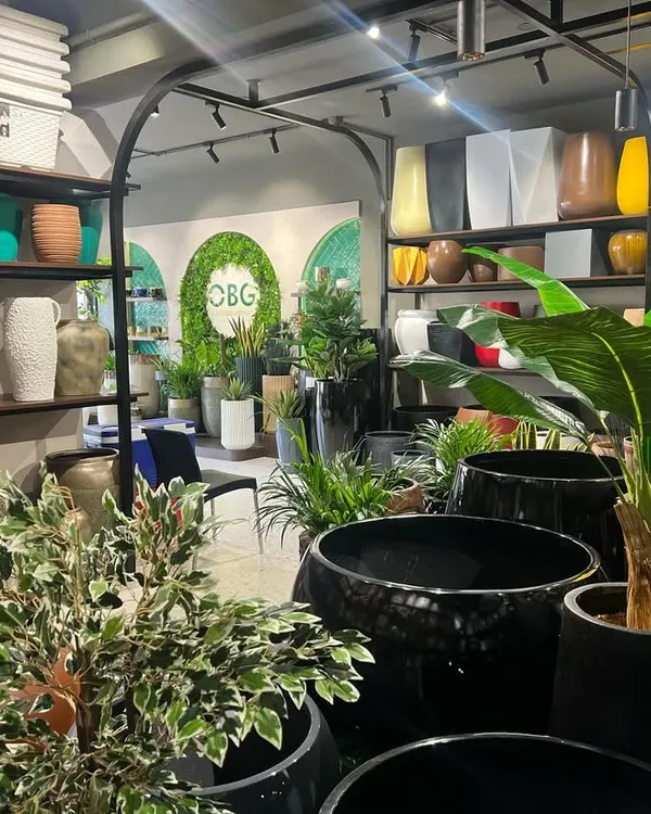 A wider view of our Kadri store, showcasing the wide variety of planters we offer, from large floor pots to smaller decorative ones.