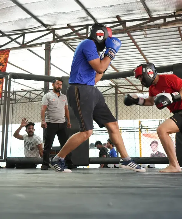 A coach's view from the corner. Every exchange in the cage is a learning opportunity, a chance to see strategy unfold in real-time.