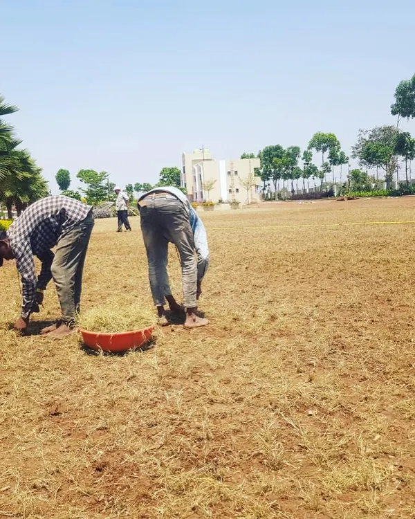 The beginning of a massive garden development at Dalal Bagh, Vadodara. Here my team is preparing the vast expanse of land for lawn installation.