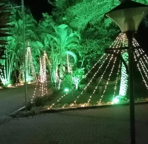 Creative outdoor lighting using strings of fairy lights wrapped around lamp posts and trees to create a magical, festive glow for an evening event.