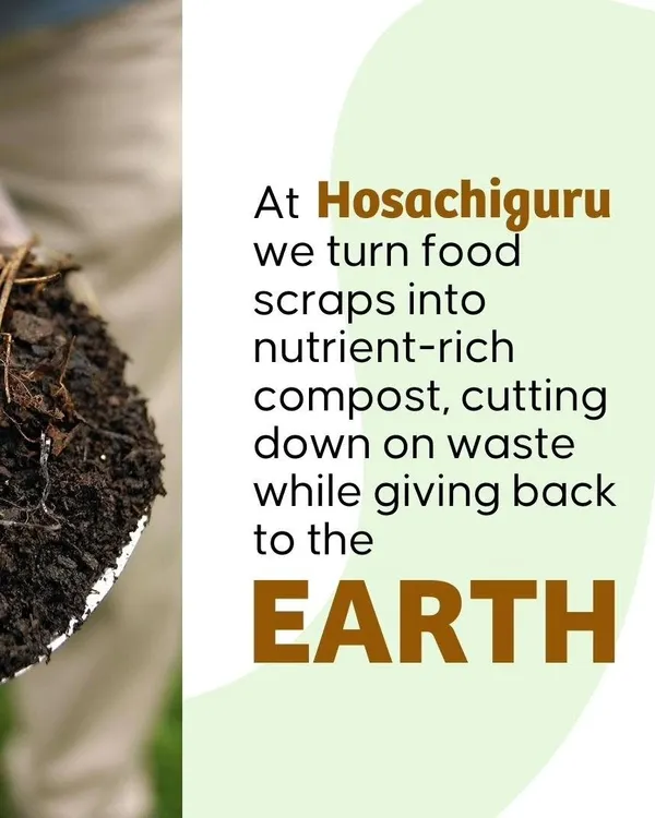 An infographic explaining how we turn food scraps into nutrient-rich compost to give back to the earth.
