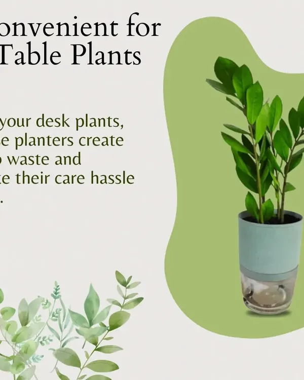 Our self-watering planters are perfect for your desk or table plants. They create zero waste and make plant care hassle-free, ensuring your green buddies stay hydrated even when you're busy.