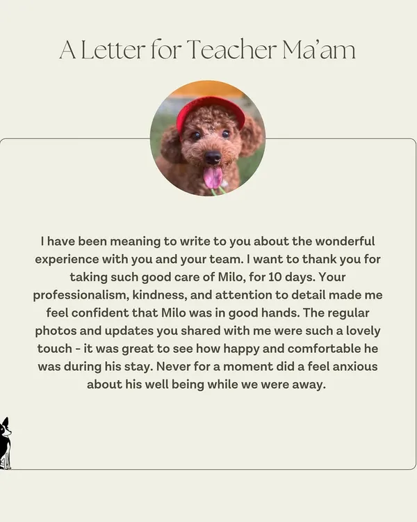 This letter from Milo's family fills our hearts. Knowing they felt confident and not anxious about his well-being during his 10-day stay is exactly what we aim for. The regular photo and video updates are a key part of our service.