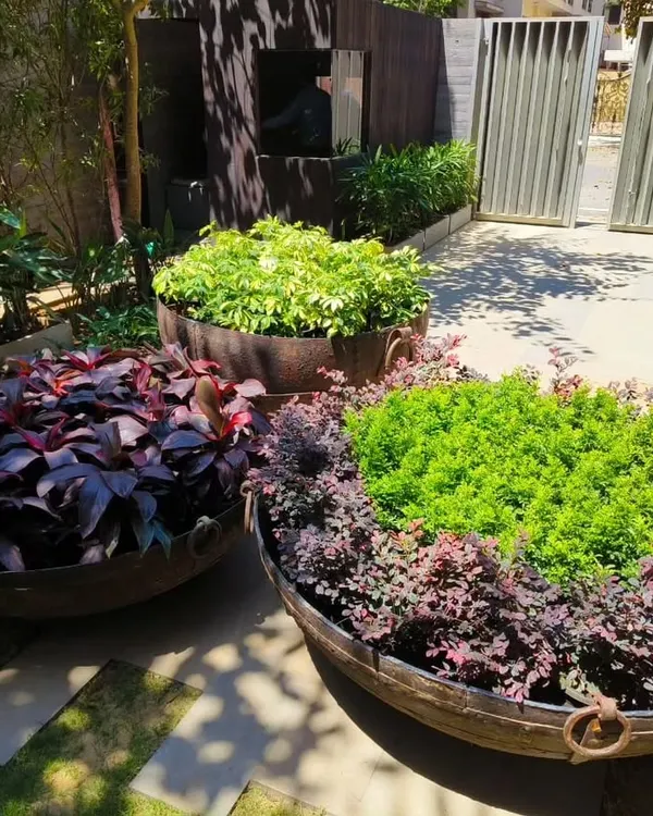 For this client's entrance, I used large, rustic urns to create bold, low-maintenance plant arrangements. The mix of dark purple and bright green foliage provides a beautiful, year-round contrast.