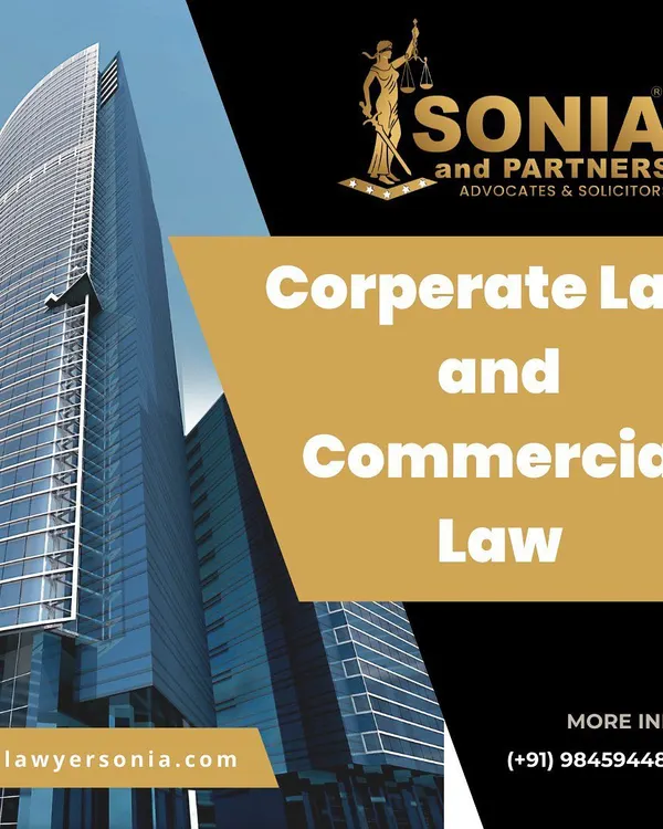 My practice is dedicated to serving the needs of the business community through comprehensive corporate and commercial law services. I provide strategic legal advice to protect your company's interests and facilitate its growth.