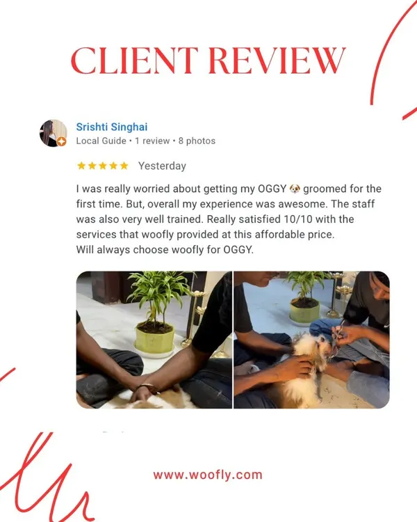 It's completely normal to worry about your pet's first grooming. I'm so glad I could provide an awesome and affordable experience for Oggy and his owner.