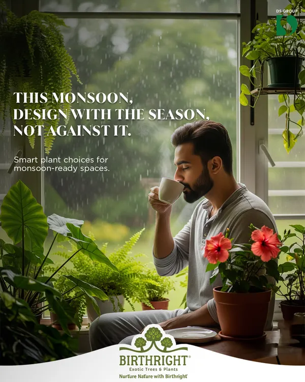 This monsoon, I help you design with the season, not against it. This cozy window setup features plants like Hibiscus and ferns that love the humidity.