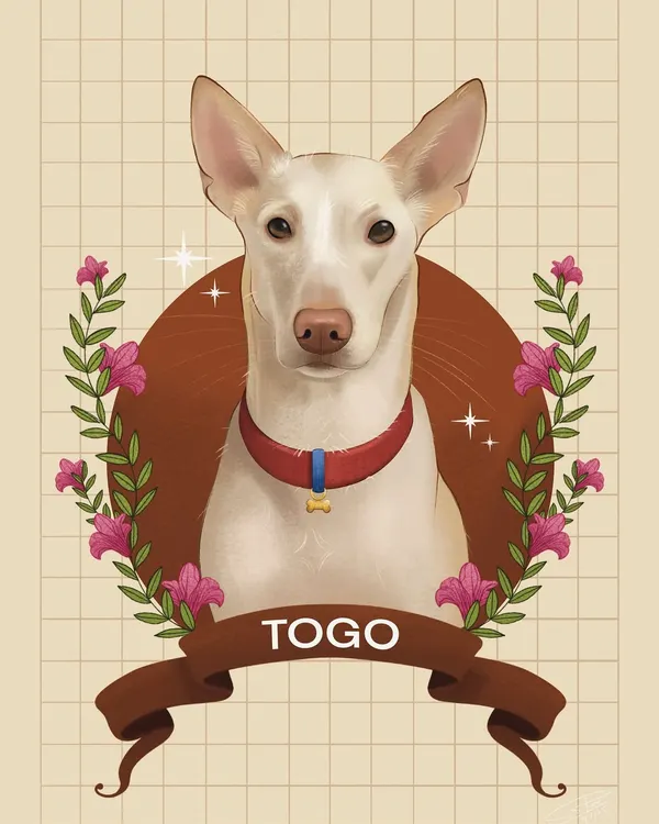 This is a digital portrait of Togo, an elegant indie dog. I used a warm, earthy color palette with a floral wreath to complement his gentle nature. This style is great for creating a classic, emblem-like pet portrait.