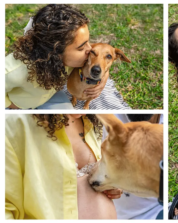 A collage showing a mother-to-be kissing her indie dog and the dog gently nuzzling her baby bump during an outdoor maternity shoot.