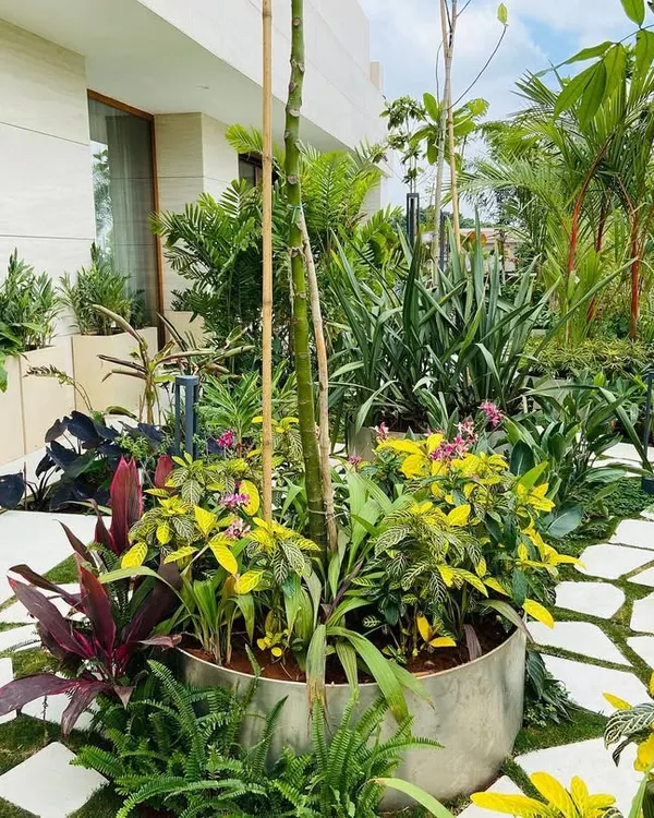 A vibrant terrace garden at a Bangalore residence, showcasing a mix of colorful foliage and flowering plants in custom planters. The design uses a natural stone path to create movement and accessibility through the dense greenery.