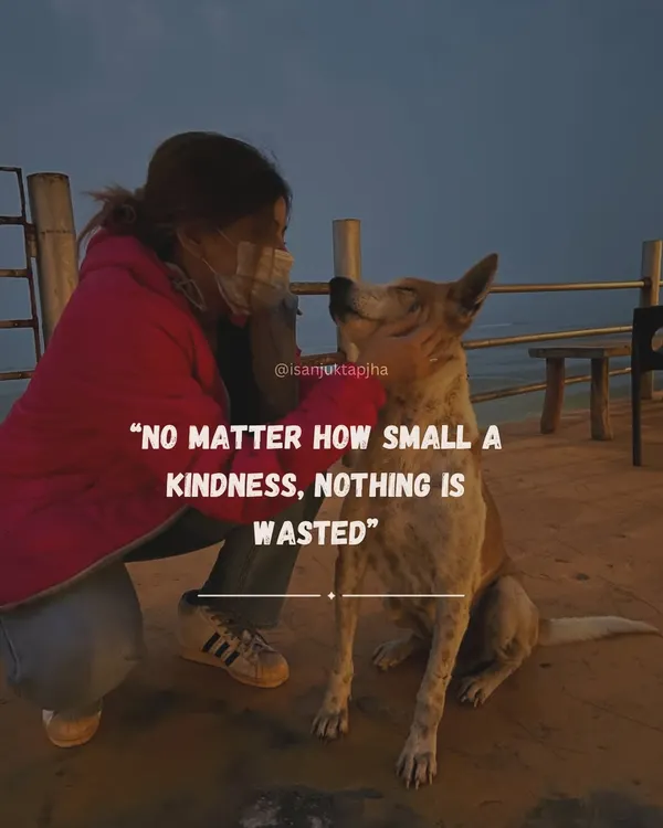A touching moment with a stray dog, emphasizing the importance of kindness to animals. This post reflects my core values and my work as an animal rights advocate.