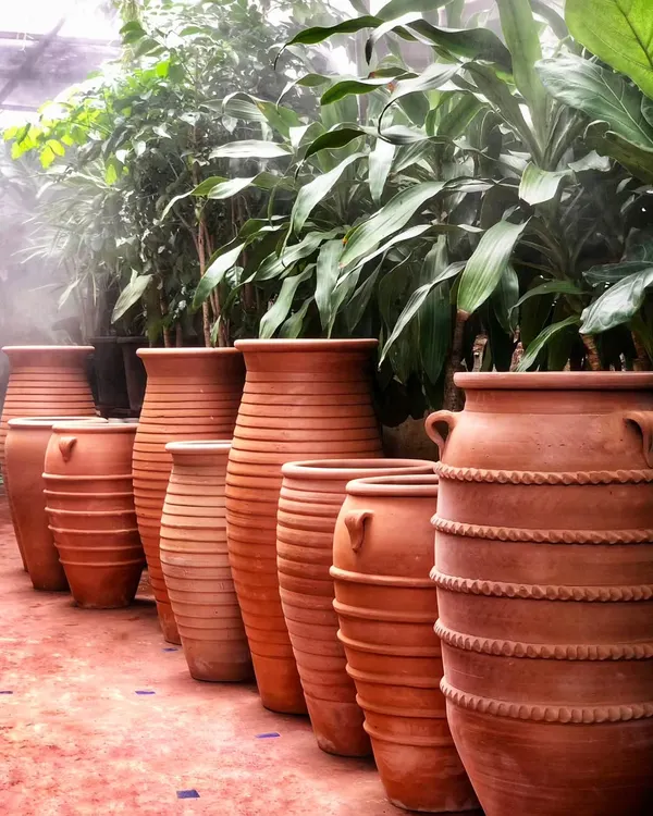 Our Terrapotta range is all about rustic beauty. This new stock of handmade terracotta pots, with their varied shapes and textures, sells out super fast. We are now shipping them all across India.
