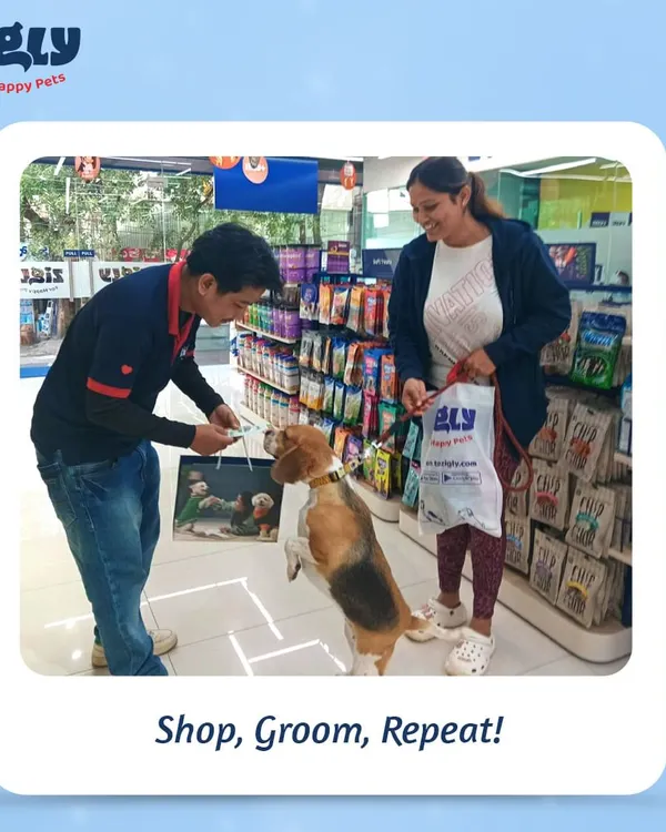 The fun of our Grooming Fest in one picture. A happy Beagle eagerly awaits a treat after a shopping trip, capturing the exciting and rewarding atmosphere of our community events.