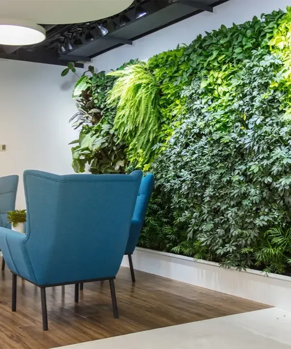 We design and install magnificent living green walls that serve as a breathtaking centerpiece for any corporate lobby or office. This installation transforms a simple reception area into a vibrant, welcoming space that naturally purifies the air.