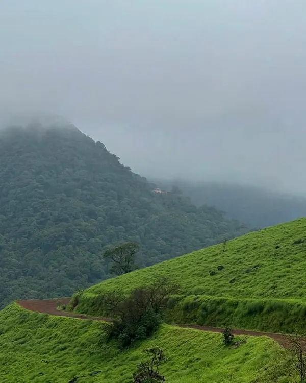 The rolling green hills of Kodachadri as seen from the trail, with a hint of mist in the distance. This trek offers a beautiful mix of landscapes.
