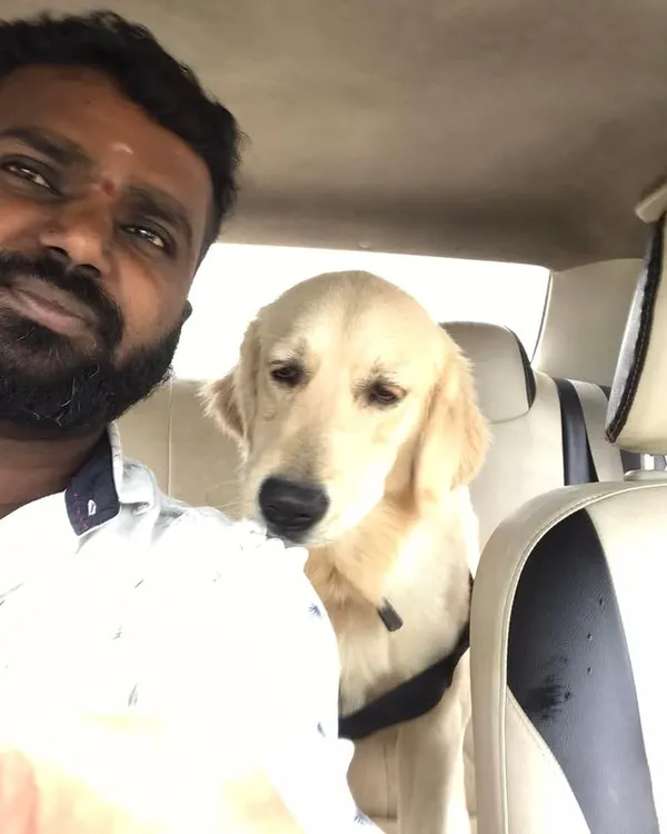 This Golden Retriever is my co-pilot. I make sure to give them company and reassurance throughout the entire car journey.