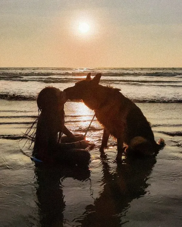 This is the goal. That pure, uncomplicated joy and trust between you and your dog. My training is all about building this deep connection, turning you and your dog into the best teammates, ready for any adventure together.