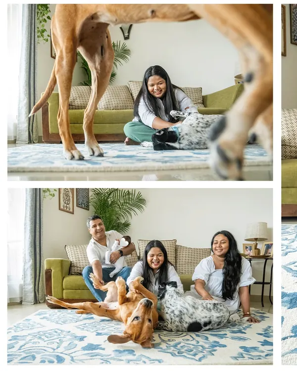 A collage showing a family's two large dogs playfully interacting on the floor and then calmly looking on as the parents hold their newborn baby.