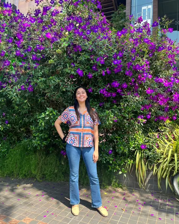 A healthy, mature Melastoma shrub covered in vibrant purple flowers. We provide the expert pruning and plant care needed to encourage such prolific blooming, turning a simple shrub into a stunning visual anchor.