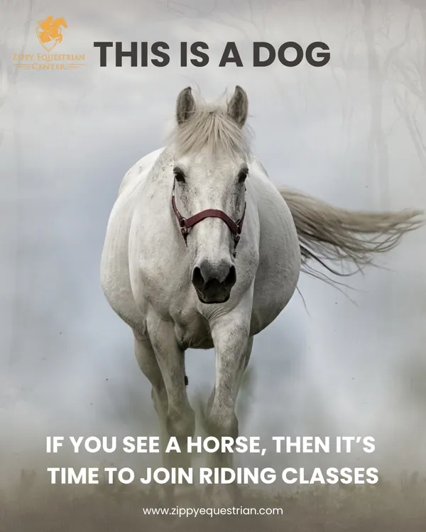 If you see a horse, it's time to join our riding classes! We love a bit of equestrian humor, and we know that once you start seeing horses everywhere, you've caught the bug.