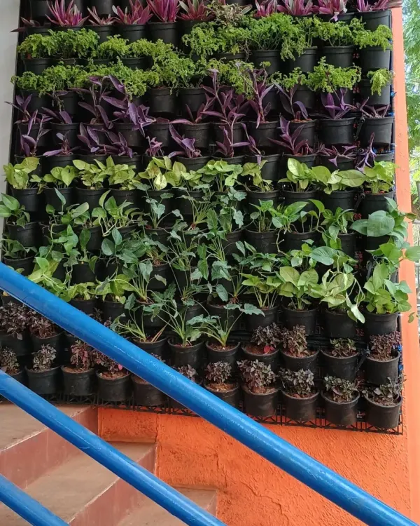 A close-up of a living wall I installed next to a staircase. You can see the individual pots seated in the grid system, filled with a mix of purple tradescantia and green foliage plants.