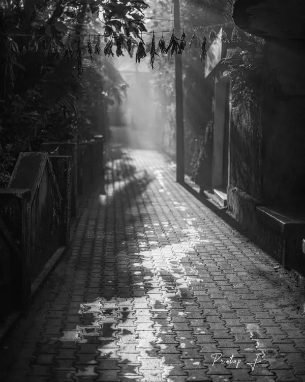 Sunbeams break through the morning mist onto a cobblestone path in a small village. This black and white treatment emphasizes the play of light and shadow, creating a nostalgic and timeless feeling.