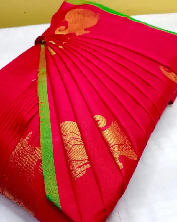 This is the result I aim for with every saree: neat, crisp, and perfectly formed pleats. With my service, you can make your heavy silk sarees ready to wear in under five minutes, turning a difficult task into a simple pleasure.