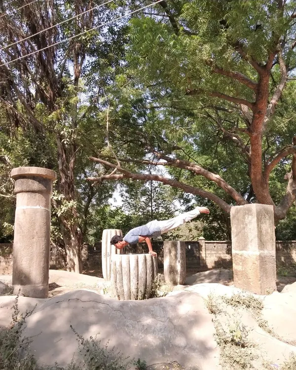 Mayurasana, the Peacock Pose, is a powerful arm balance that ignites the digestive fire, or 'agni'. Regular practice tones the abdominal organs, detoxifies the body, and strengthens the arms and shoulders, building confidence and focus.